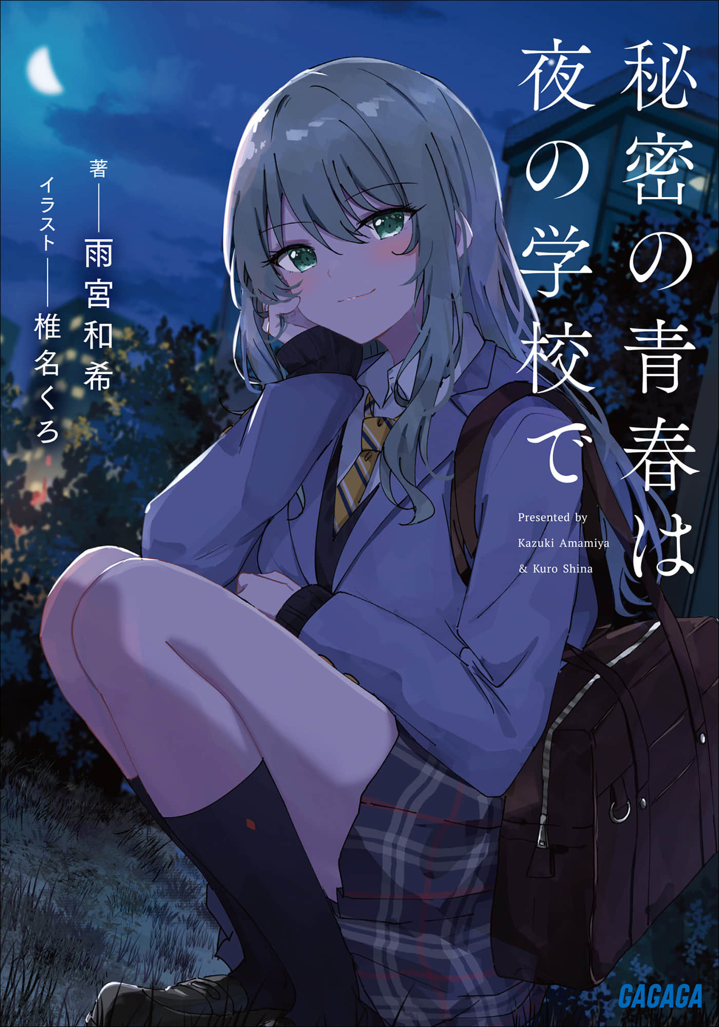 《秘密的青春在夜晚的學校里》封面